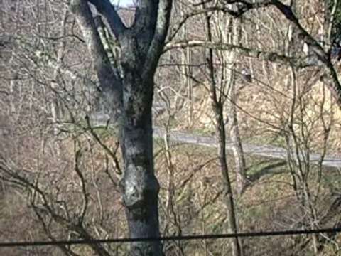 monte carlo 2007 cuoq 307 wrc es 11