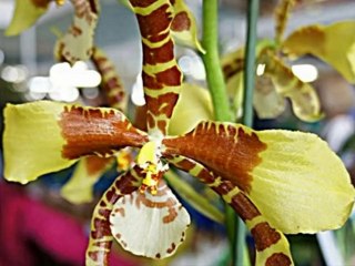 Île de la Réunion en photos de Fany97440 de juillet 2014