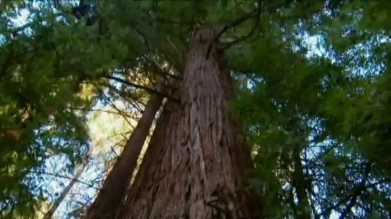 Zukunft ohne Menschen (S02E08) - Einsturz des Himmels (Chaos am Himmel)