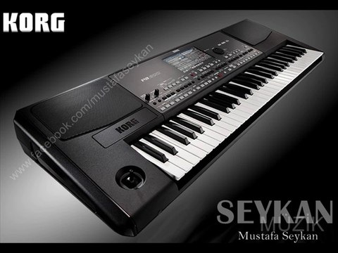 KORG PA600 - SEYKAN YAPIM (ZURNA SESİ) MUSTAFA SEYKAN 2014