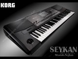 KORG PA600 - SEYKAN YAPIM (ZURNA SESİ) MUSTAFA SEYKAN 2014