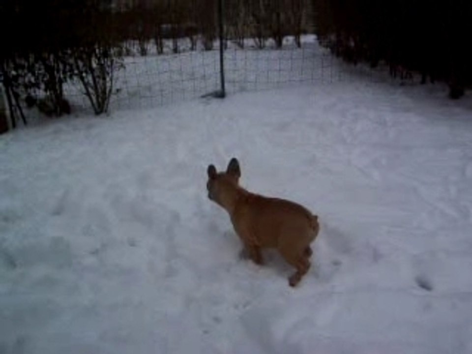 101_5271