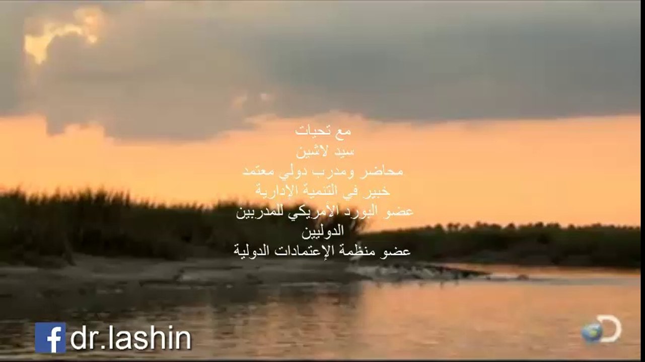 Dolphins when Hunting