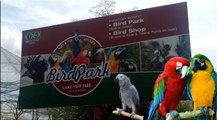The Birds Aviary at Lake View Park Islamabad
