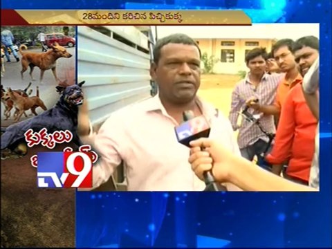 28 Hyderabad University students injured in stray dog attack