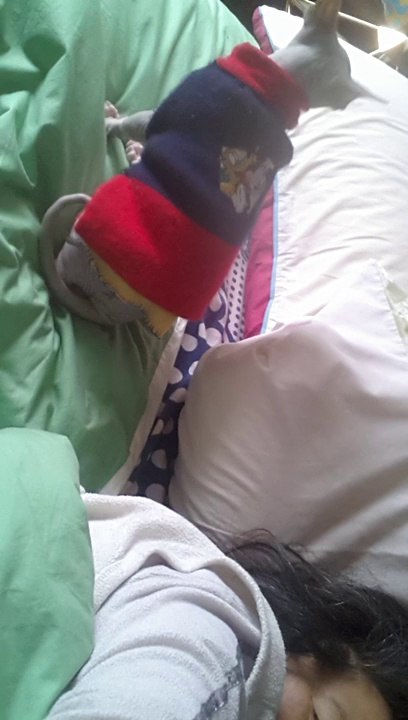 Sphynx kitten Playing - http://drzenaidycastro.com.au/ City Dentist Melbourne Dr Zenaidy Castro VOGUE SMILES MELBOURNE COSMETIC DENTIST CITY SMILES MELBOURNE AUSTRALIA (1)