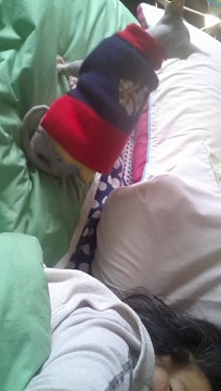 Sphynx kitten Playing - drzenaidycastro.com.au/ City Dentist Melbourne Dr Zenaidy Castro VOGUE SMILES MELBOURNE COSMETIC DENTIST CITY SMILES MELBOURNE AUSTRALIA (1)