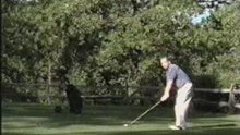 See, Golf Can Be A Violent Sport