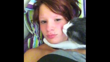 Top Cat Vines - Part Five of Best Compilation of funniest cat vines!