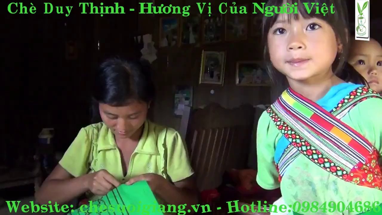 Phượt lên khám phá vùng trà cổ thụ suối giàng yên bái