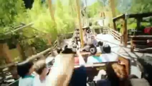 Rollercoaster Tycoons