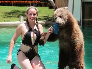 A Lion, Tiger And Bear Live And Swim Together At Wildlife Sanctuary