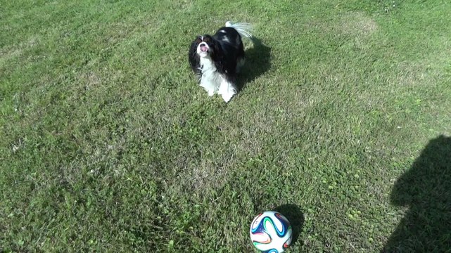 Filmer et jouer au foot pas facile