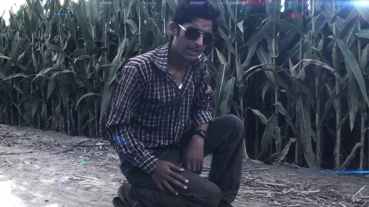 Desilifestyle