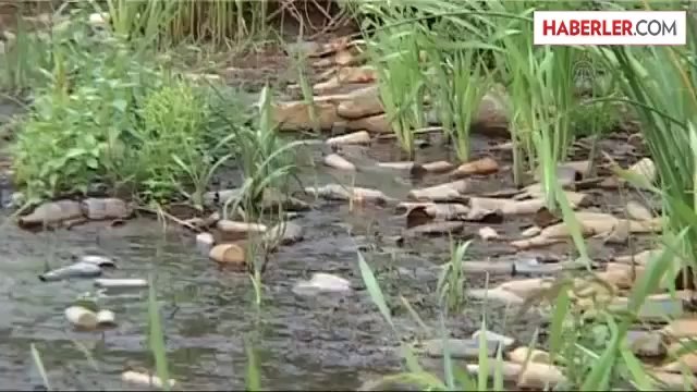 Sapanca Gölü'ndeki Su Seviyesi Düşünce Çöpler Ortaya Çıktı