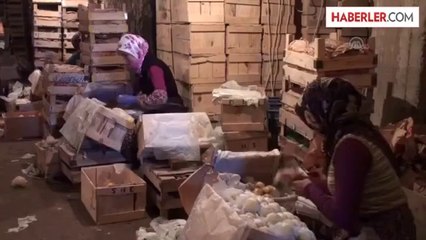 Limon fiyatları yüzde 100 arttı -