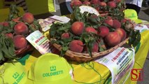 Campania - Consumi in calo per frutta e verdura, l'allarme di Coldiretti (19.07.14)