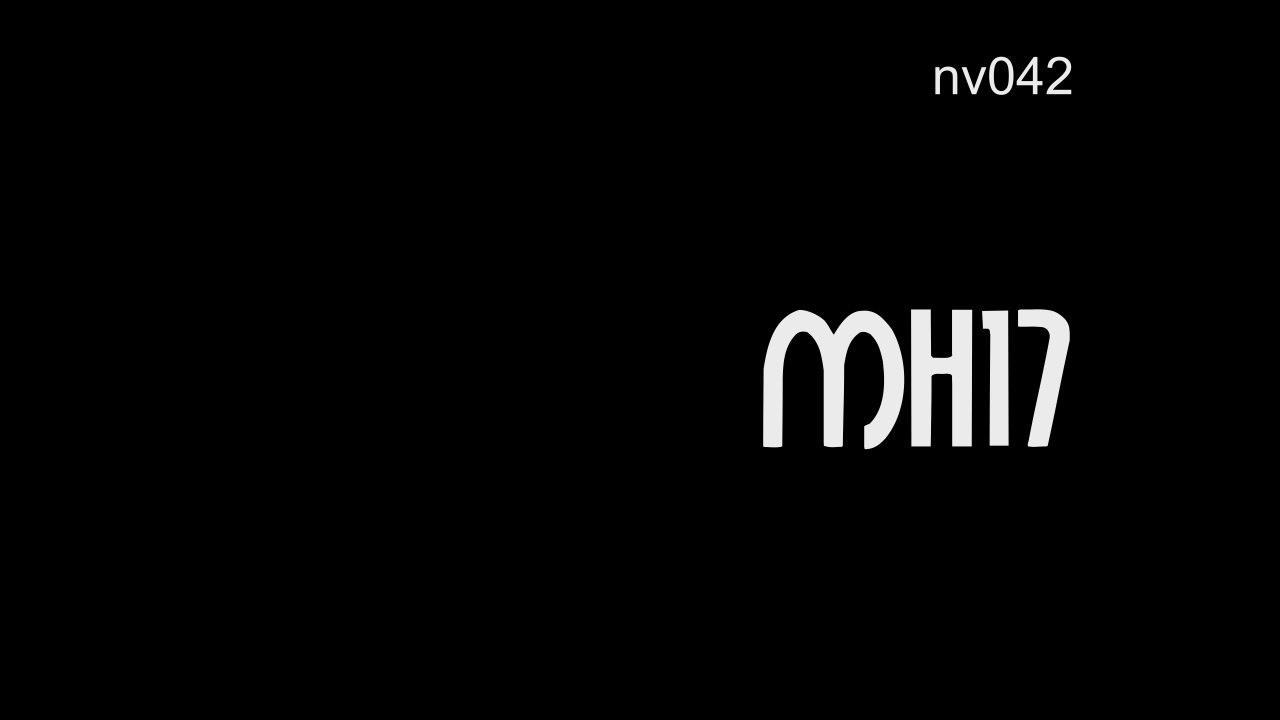 nv042 MH17