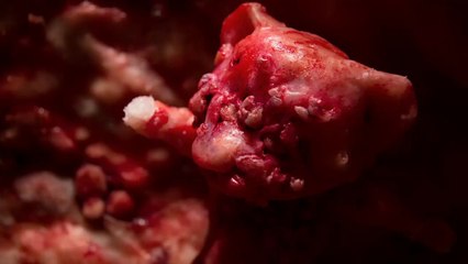 Annecy 2014 - Invocation - Court-métrage