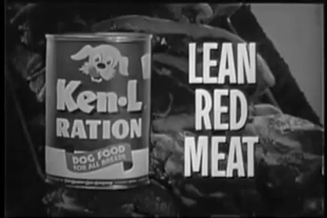 VINTAGE & ADORABLE EARLY 1960's KEN L RATION COMMERCIAL ~ PUPPY BEAGLE