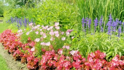 OnePlus One- Unboxing & Review