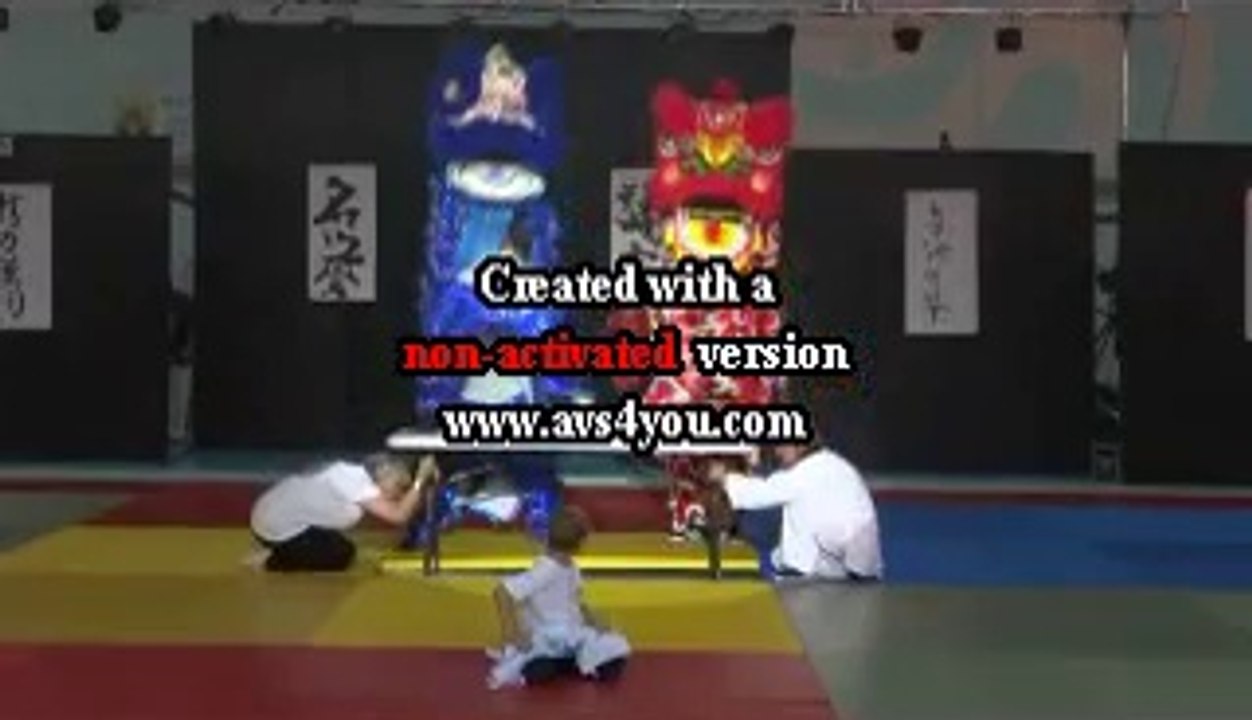 Danse du lion 2