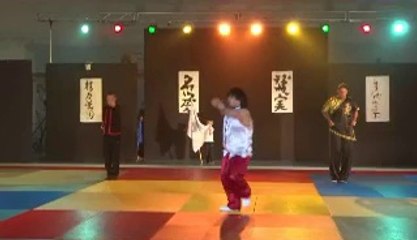 Demo de chambly kung fu