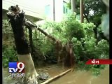 Typhoon Rammasun kills 17 in southern China - Tv9 Gujarati