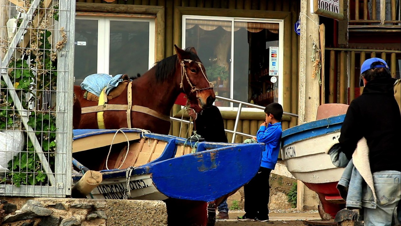 corto_caballitos de mar