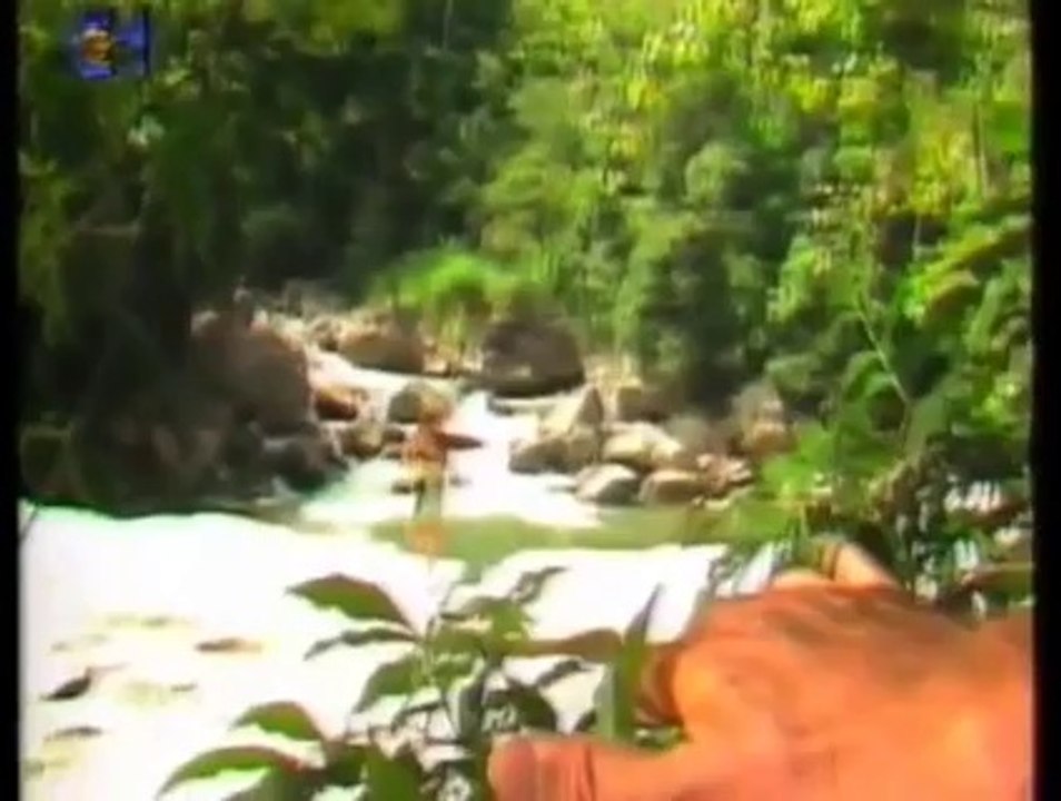 DDS 001