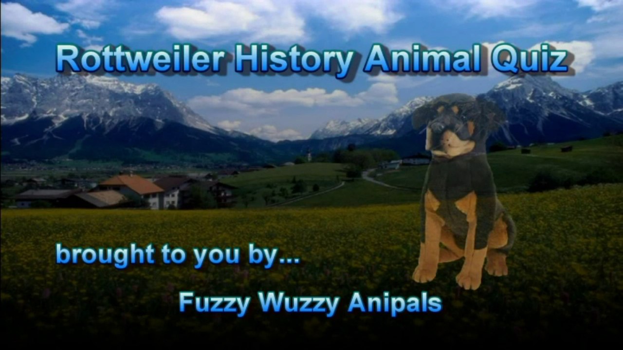 History of the Rottweiler Animal Quiz