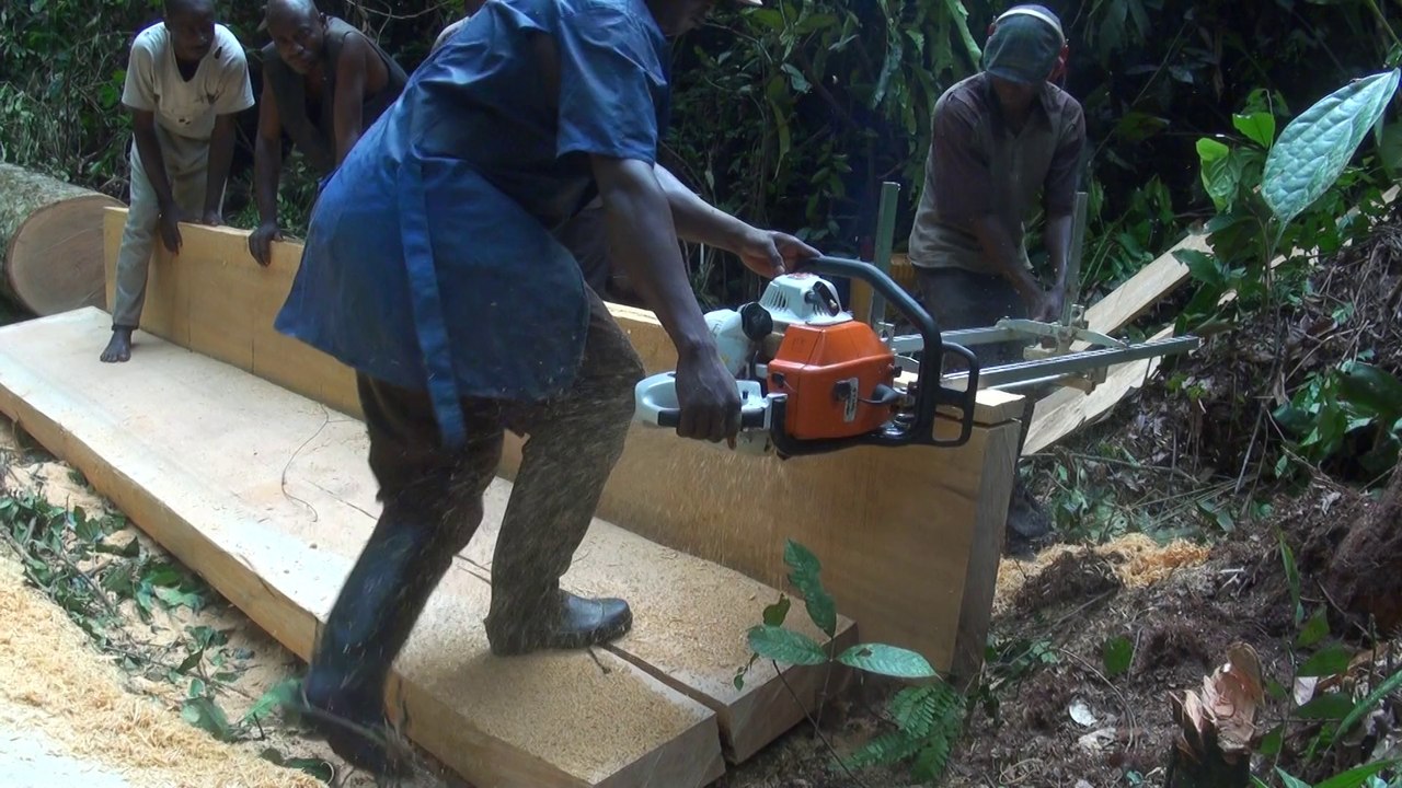 Coopérative WOLONKOY Asbl. Scierie mobile en action.