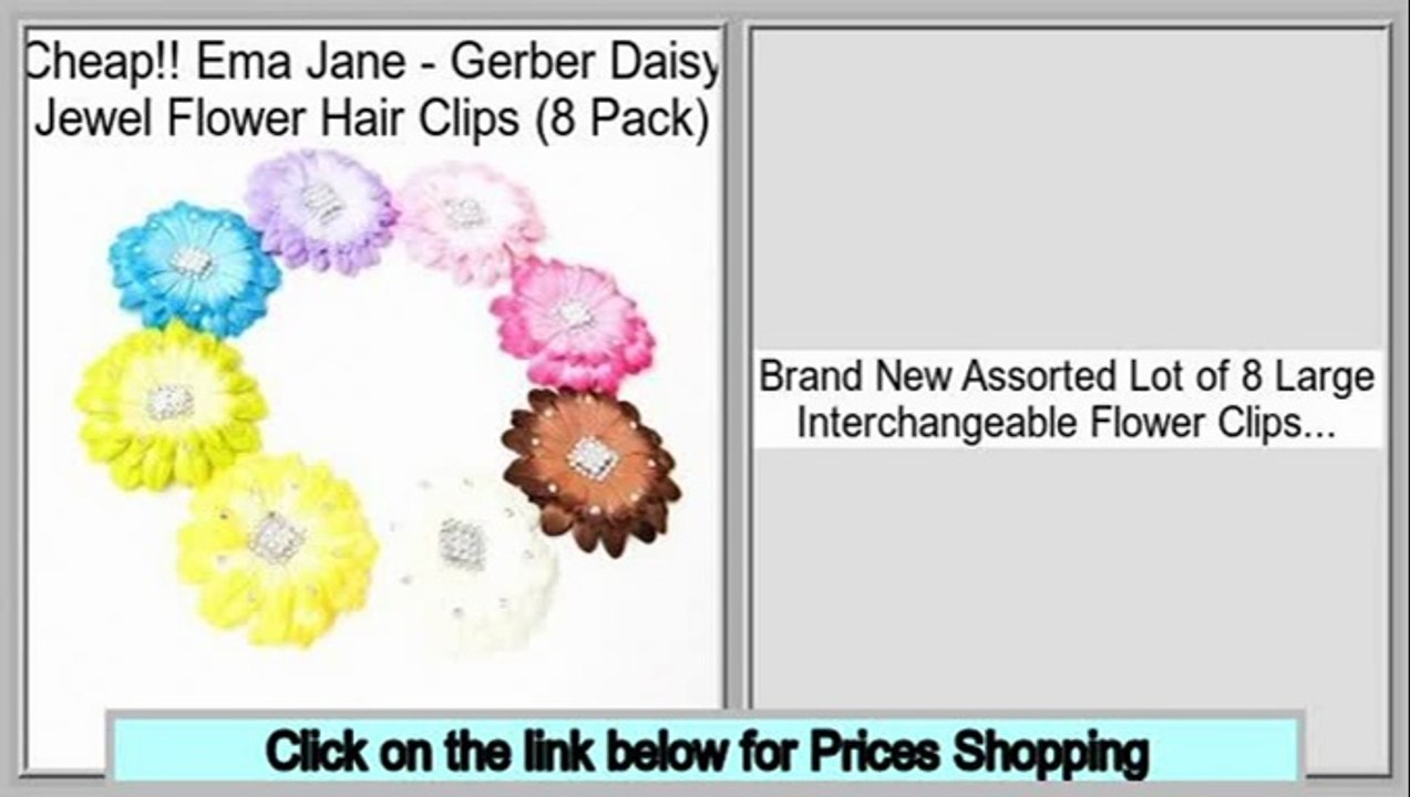 Best Rated Ema Jane - Gerber Daisy Jewel Flower Hair Clips (8 Pack)