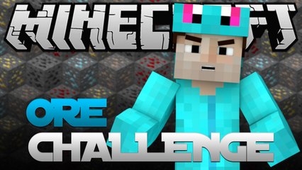 Minecraft: The Ores Challenge!!!
