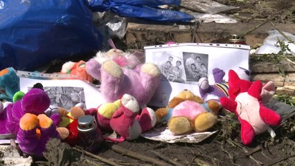 Rebels move bodies from MH17 site as world urges probe