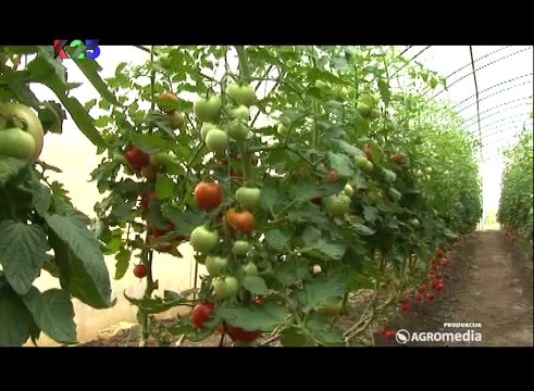 K23TV - Svet poljoprivrede - 357