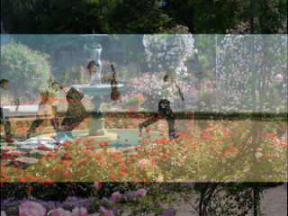 William SHELLER -Quatuor Parisii " Obsession jardin " 2003