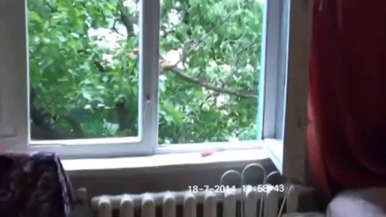 Кровавые последствия бомбежки Луганска. ВНИМАНИЕ слабонервным не смотреть!
