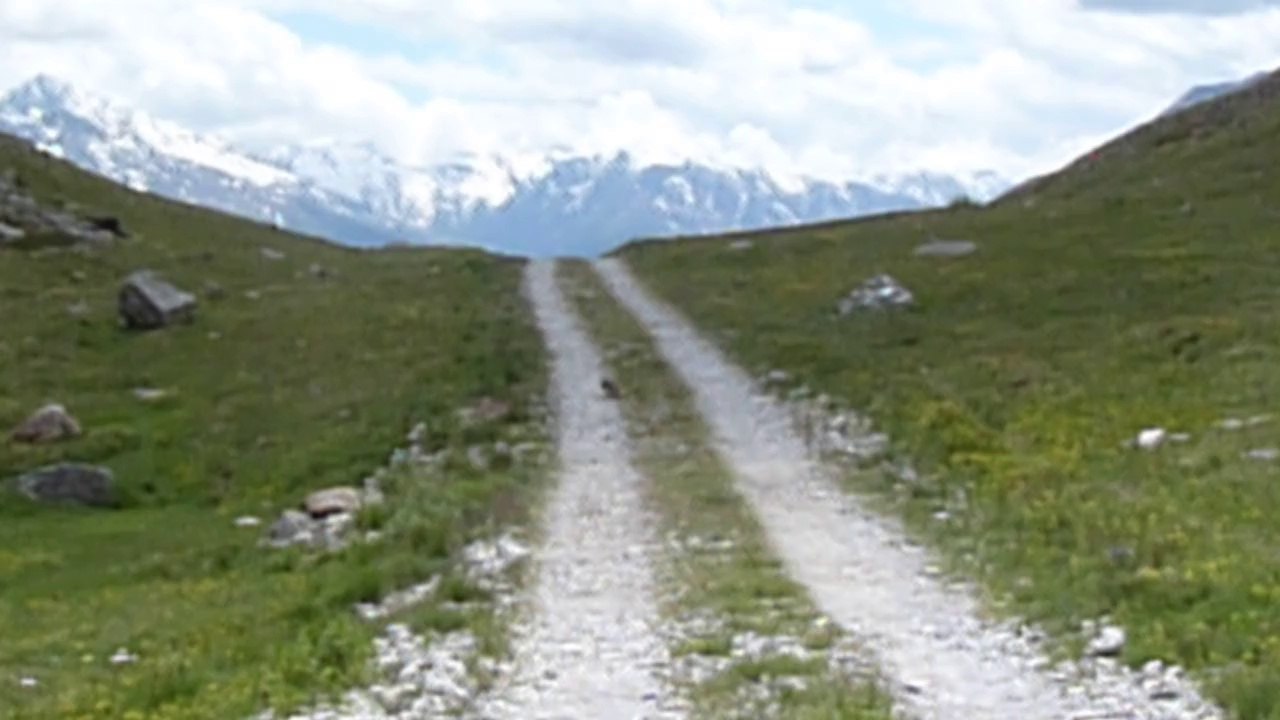 Les marmottes du Lac Blanc