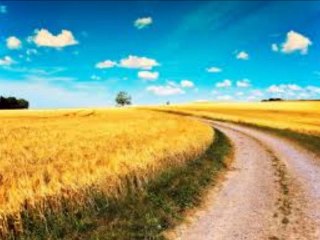 A Perfect World - Destin - Lover J Dance-hall session 2014