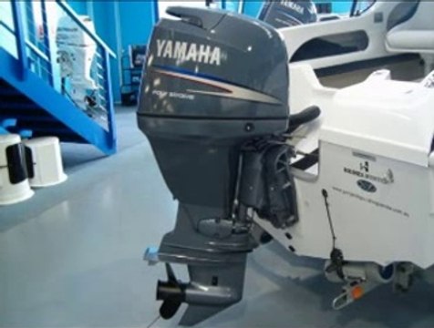 2010 2011 Yamaha F225 F250 F300 4-Stroke Outboard Service Manual INSTANT DOWNLOAD