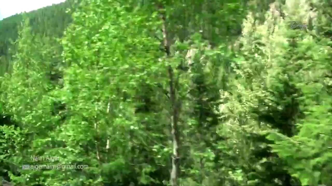 Train Ride, Valemount to Jasper, British Columbia, Alberta, CA