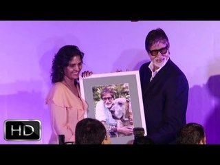 Amitabh Bachchan At 'Pawsitive People's Awards 2013'