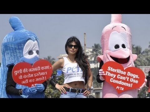 Sherlyn Chopra promotes safe sex in animals
