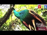 Yaana's tryst with nature at Bird Park, Kuala Lumpur - Malaysia