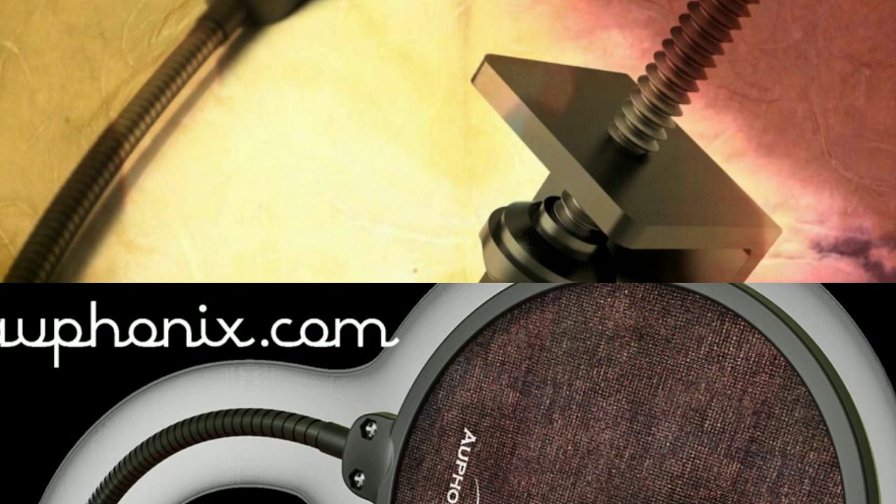 Why Should You Get a Pop Filter for Your Home  Recordings