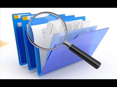 Vivi's Translation and Interpreters