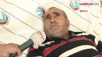 Sokak Köpeği Dehşet Saçtı