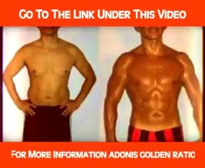 Adonis Golden Ratio Training Program Pdf - Adonis golden ratio - free eBooks download