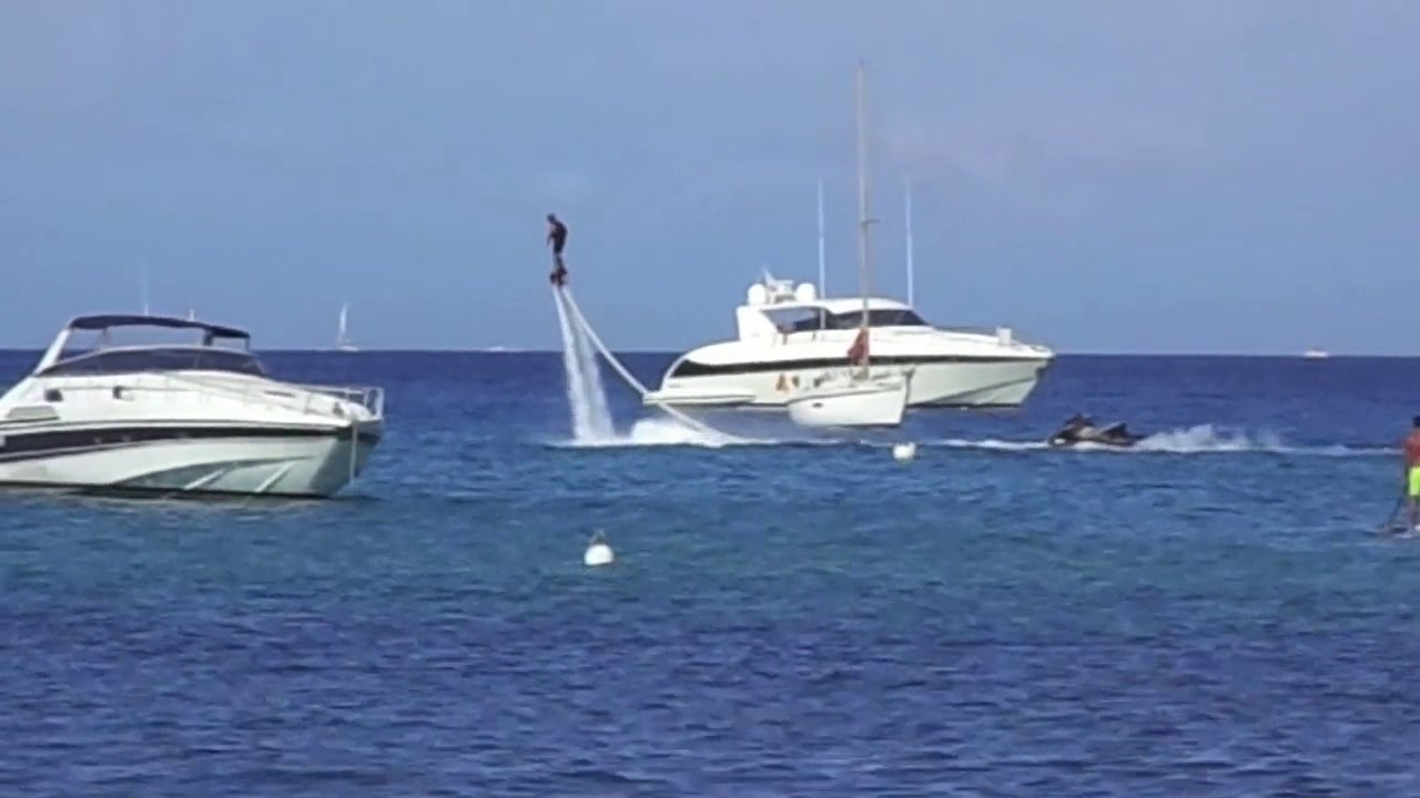 échasses d'eau